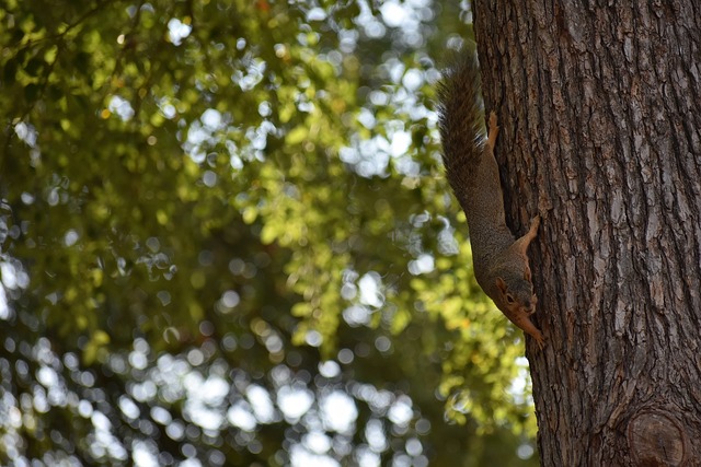 外形和球场 外形和球场