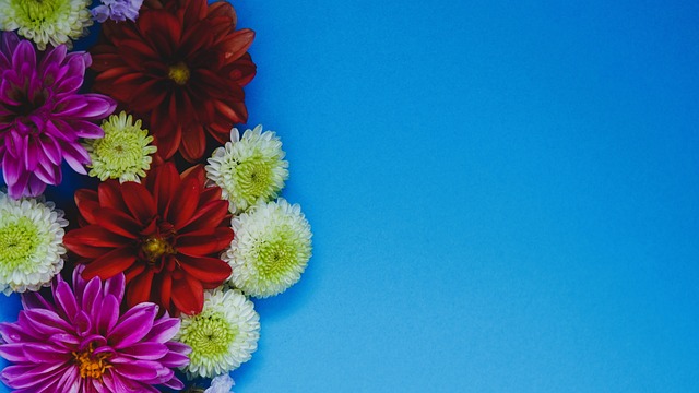 实锤证据 实锤证据